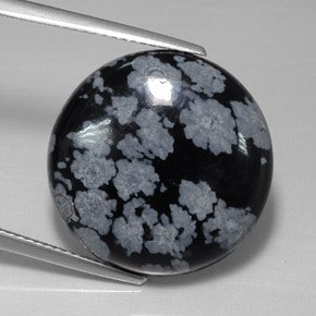 15.77 ct Multicolor Snowflake Obsidian Stone, Natural Snowflake Obsidian in Round Cabochon Shape for Sale