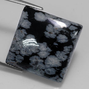 20.19 ct Black Snowflake Obsidian Gemstone, Snowflake Obsidian Gem in Square Cabochon Shape for Sale.