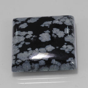 21.45 ct Black Snowflake Obsidian Stone, Natural Snowflake Obsidian in Square Cabochon Shape for Sale