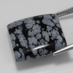 Snowflake Obsidian Gemstone in 20 x 20 mm Size for Sale, Snowflake Obsidian Stone in Black White Color