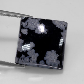 12.26 ct Multicolor Snowflake Obsidian Gemstone, Snowflake Obsidian Gem in Square Cabochon Shape for Sale.