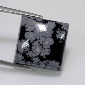 11.84 ct Black Snowflake Obsidian Gemstone, Snowflake Obsidian Gem in Square Cabochon Shape for Sale.