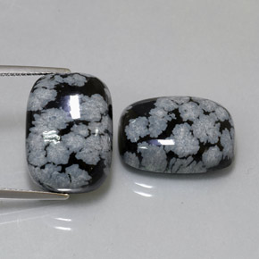 23.06 ct Multicolor Snowflake Obsidian Gemstone, Snowflake Obsidian Gem in Cushion Cabochon Shape for Sale.