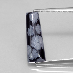 3.20 ct Multicolor Snowflake Obsidian Gemstone, Snowflake Obsidian Gem in Trapezoid Cabochon Shape for Sale.