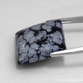 Snowflake Obsidian Gemstone in 19.9 x 19.7 mm Size for Sale, Snowflake Obsidian Stone in Gray-White Black Color