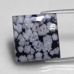 16.12 ct Black Snowflake Obsidian Gemstone, Snowflake Obsidian Gem in Square Cabochon Shape for Sale.