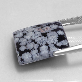Snowflake Obsidian Gemstone in 19.3 x 18.7 mm Size for Sale, Snowflake Obsidian Stone in Gray-White Black Color