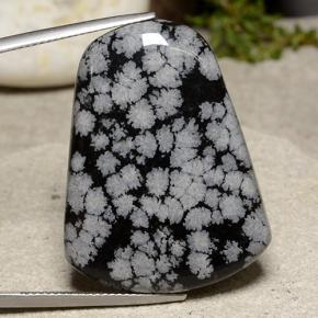 37.24 ct Multicolor Snowflake Obsidian Gemstone, Snowflake Obsidian Gem in Trapezoid Cabochon Shape for Sale.