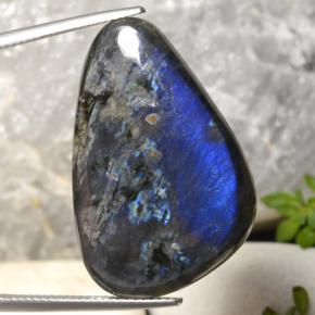 24.80 ct Multicolor Spectrolite Gemstone, Spectrolite Gem in Shark Fin Cabochon Shape for Sale.