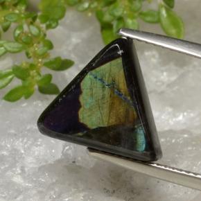 5.25 ct Multicolor Spectrolite Stone, Natural Spectrolite in Trillion Cabochon Shape for Sale