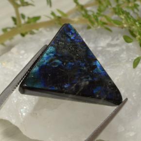 11.68 ct Multicolor Spectrolite Stone, Natural Spectrolite in Trillion Cabochon Shape for Sale
