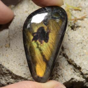 27.88 ct Multicolor Spectrolite Gemstone, Spectrolite Gem in Shark Fin Cabochon Shape for Sale.