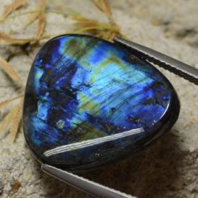 15.43 ct Multicolor Spectrolite Stone, Natural Spectrolite in Trillion Cabochon Shape for Sale