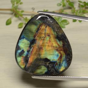 14.38 ct Multicolor Spectrolite Gemstone, Spectrolite Gem in Trillion Cabochon Shape for Sale.