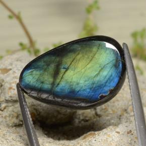11.39 ct Multicolor Spectrolite Stone, Natural Spectrolite in Shark Fin Cabochon Shape for Sale