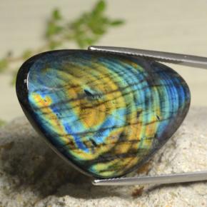 29.30 ct Multicolor Spectrolite Gemstone, Spectrolite Gem in Trillion Cabochon Shape for Sale.