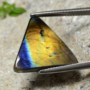 9.73 ct Multicolor Spectrolite Gemstone, Spectrolite Gem in Trillion Cabochon Shape for Sale.