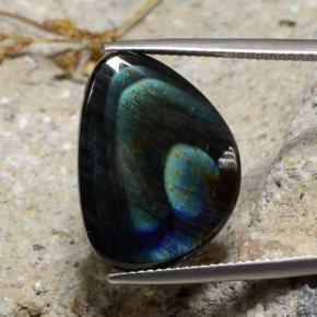 9.82 ct Multicolor Spectrolite Gemstone, Spectrolite Gem in Fancy Cabochon Shape for Sale.