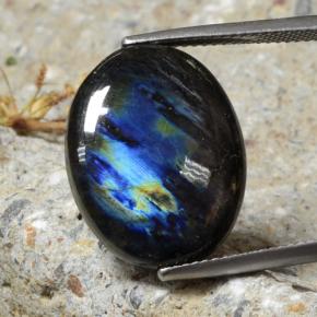 10.68 ct Multicolor Spectrolite Gemstone, Spectrolite Gem in Oval Cabochon Shape for Sale.