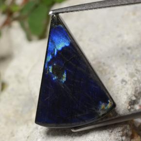 7.77 ct Multicolor Spectrolite Gemstone, Spectrolite Gem in Trillion Cabochon Shape for Sale.