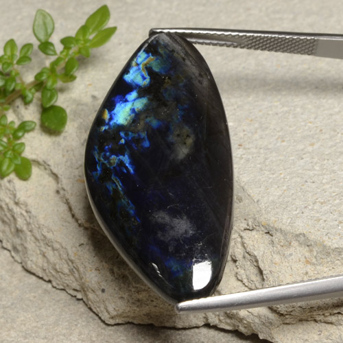 Multicolor Spectrolite Gem - 23.4ct Shark Fin Cabochon (ID: 481464)