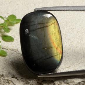 11ct Cushion Cabochon Multicolor Spectrolite Gem for sale 11ct Cushion Cabochon Multicolor Spectrolite Gem (ID: 481468)