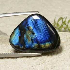 10.60 ct Multicolor Spectrolite Gemstone, Spectrolite Gem in Trillion Cabochon Shape for Sale.