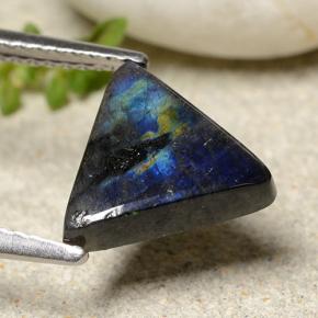 1.95 ct Multicolor Spectrolite Stone, Natural Spectrolite in Trillion Cabochon Shape for Sale