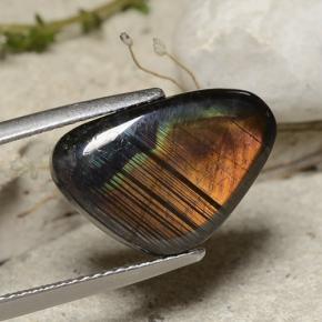 5.66 ct Multicolor Spectrolite Stone, Natural Spectrolite in Shark Fin Cabochon Shape for Sale