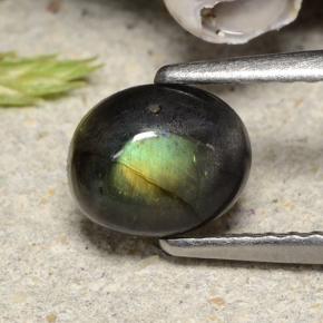 0.74 ct Multicolor Spectrolite Stone, Natural Spectrolite in Oval Cabochon Shape for Sale