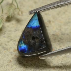 1.09 ct Multicolor Spectrolite Gemstone, Spectrolite Gem in Shark Fin Cabochon Shape for Sale.