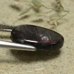 Spectrolite Gemstone in 13.5 x 8.4 mm Size for Sale, Spectrolite Stone in Multicolor Color