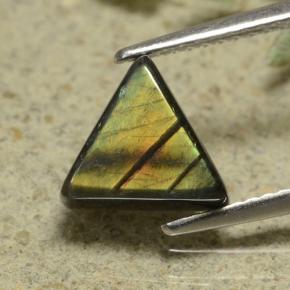 1.89 ct Multicolor Spectrolite Stone, Natural Spectrolite in Trillion Cabochon Shape for Sale