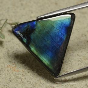 5.79 ct Multicolor Spectrolite Stone, Natural Spectrolite in Trillion Cabochon Shape for Sale