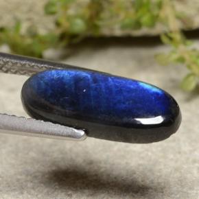 Spectrolite Gemstone in 14.8 x 5.9 mm Size for Sale, Spectrolite Stone in Multicolor Color