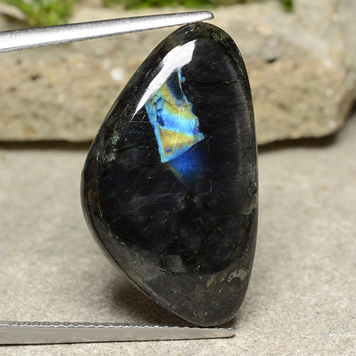 Multicolor Espectrolita Gema - 13.2ct Cabujón aleta de tiburón (ID: 487586)