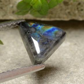 1.29 ct Multicolor Spectrolite Stone, Natural Spectrolite in Trillion Cabochon Shape for Sale