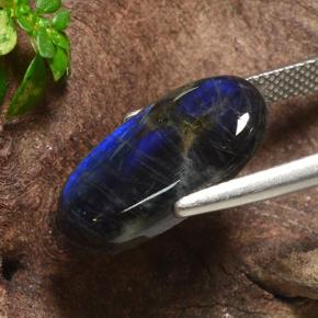 Spectrolite Gemstone in 18 x 9.5 mm Size for Sale, Spectrolite Stone in Multicolor Color