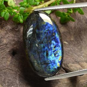 12.54 ct Multicolor Spectrolite Gemstone, Spectrolite Gem in Oval Cabochon Shape for Sale.