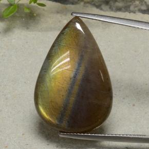 Multicolore Spectrolite Gem - 16.8ct Cabochon pera (ID: 494246)
