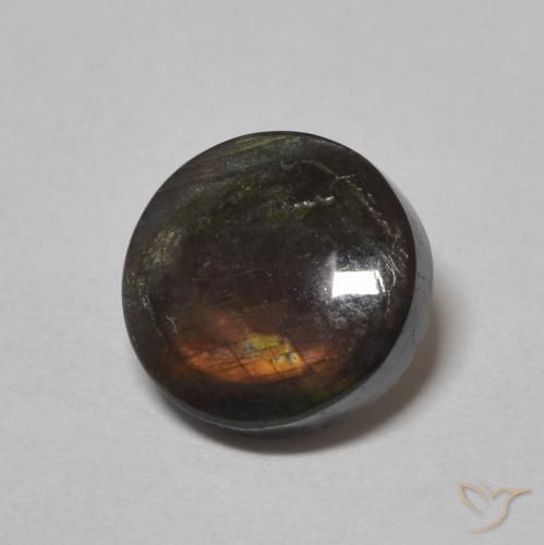 1.51 ct Multicolor Spectrolite Stone, Natural Spectrolite in Round Cabochon Shape for Sale