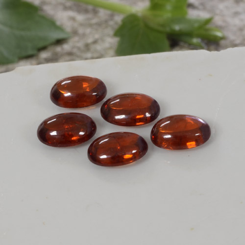Arancione rossastra Granato spessartite Gem - 1ct Ovale cabochon (ID: 264436)