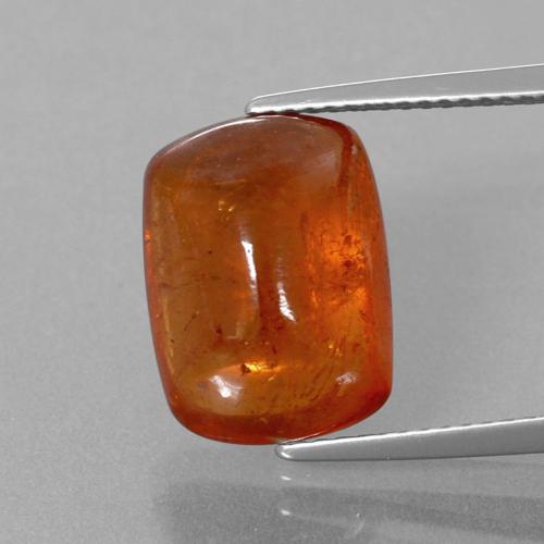 Amber Orange Spessartite Garnet Gem - 11.2ct Cushion Cabochon (ID: 385684)