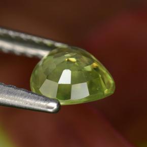 Sphene Gemstone in 6.3 x 5.7 mm Size for Sale, Sphene Stone in Golden Green Color
