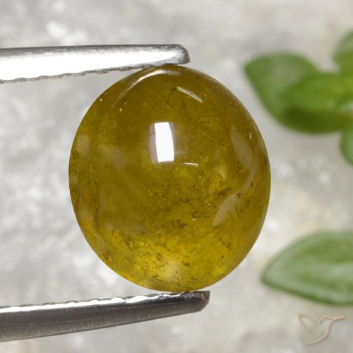 3.2 ct Yellow Sphene, 8.6 x 7.5 mm Oval Cut From Sri Lanka, Photo A