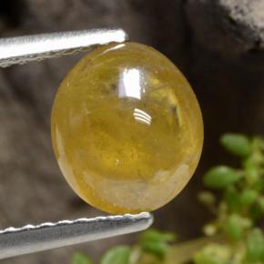 2ct Oval Cabochon Greenish Golden Sphene Gem for sale 2ct Oval Cabochon Greenish Golden Sphene Gem (ID: 470927)