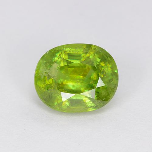 Sphène Vert oval facet 1,33 ct du Sri Lanka, dimension 7,1 x 5,8mm, pierre gemme naturelle Non traité, pureté vs-si, 1 pièce Sphène de couleur Vert éclatant, dureté Mohs de 5 à 5.5, Photo A