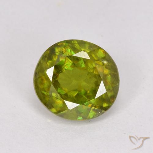 Sphène Vert oval facet 0,95 ct du Sri Lanka, dimension 6,1 x 5,6mm, pierre gemme naturelle Non traité, pureté vs-si, 1 pièce Sphène de couleur Vert forêt chaud, dureté Mohs de 5 à 5.5, Photo A