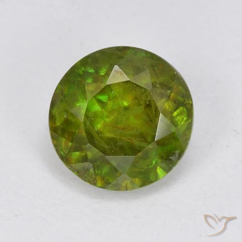Sphène Vert round facet 6,4mm du Sri Lanka, poids de 1,21 ct, pierre gemme naturelle Non traité de pureté vs-si, 1 pièce de sphène, couleur : Vert moyen, dureté de Mohs de 5 à 5.5, Photo A