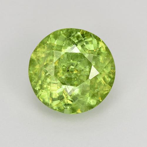 Medium-Light Green Sphene Gem - 1.2ct Round Facet (ID: 526424)